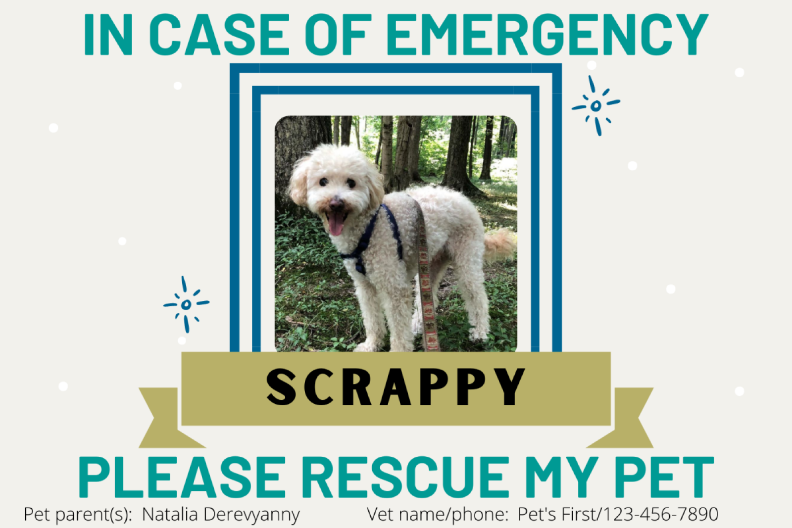 Rescue my pet sales